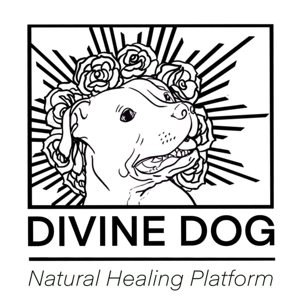 Divine Dog Natural Healing Platform